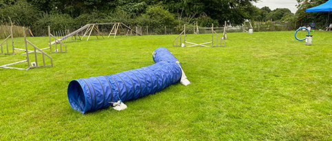 Dog Agility Arena