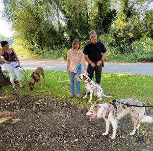 Dog Walking Training Lincolnshire