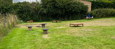 dog field paddock