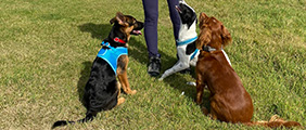Private Recall Training